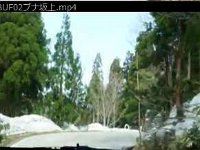 02ブナ坂上BUF03ラクダコブ通過後 20170507